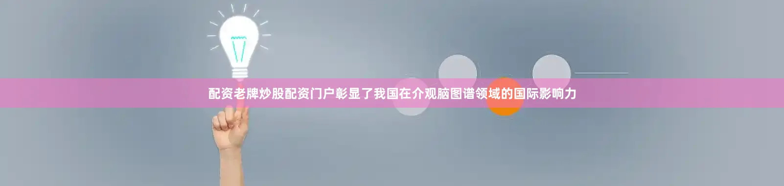 配资老牌炒股配资门户彰显了我国在介观脑图谱领域的国际影响力